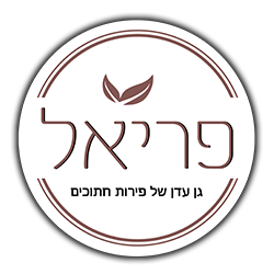 פריאל